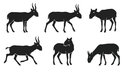 Obraz premium Saiga antelope silhouettes. Black animal icons set