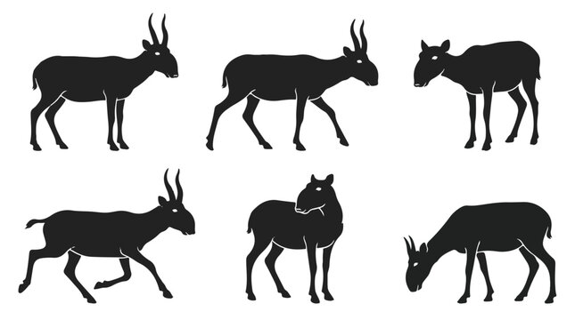 Saiga antelope silhouettes. Black animal icons set