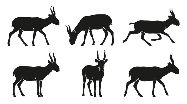 Saiga antelope silhouettes. Black animal icons set