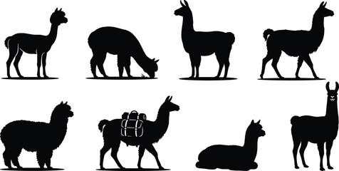Black vector silhouette collection of llamas and alpacas in various poses isolated on white background © MdMahedi