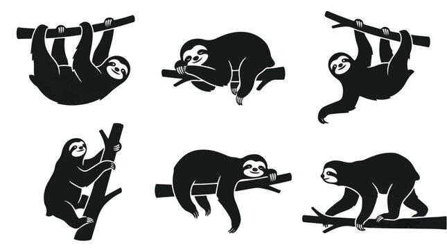 Sloths hanging from tree branches. Sloth silhouettes climbing and relaxing.