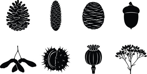 Set of black vector silhouettes of autumn forest seeds pinecones acorn and chestnut on white background © MdMahedi