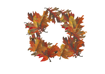 Fototapeta premium Red Maple Autumn Leaves Isolated on White Background Colorful Fall Foliage Collection with Bright Orange Yellow and Brown Seasonal Nature Decoration