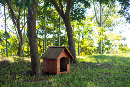 Casinha para cachorro feita de madeira na grama em um parque arborizado / Wooden dog house on the grass in a wooded park