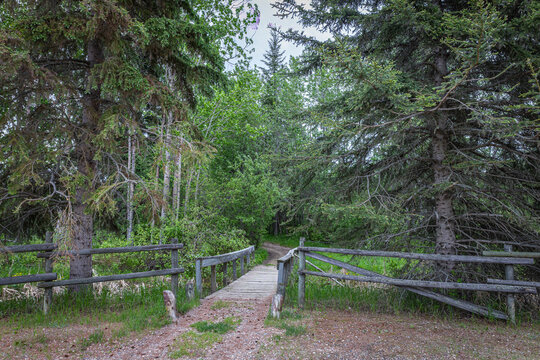 Little wooden bridge passage leading into a forested area, a rustic site on a cloudy and rainy day.