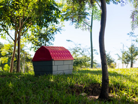 Casinha para cachorro colorida na grama em um parque arborizado / Colorful doghouse on the grass in a wooded park