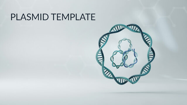 Plasmid template with dna double helix structure in blue  genetic engineering concept  molecular biology research tool