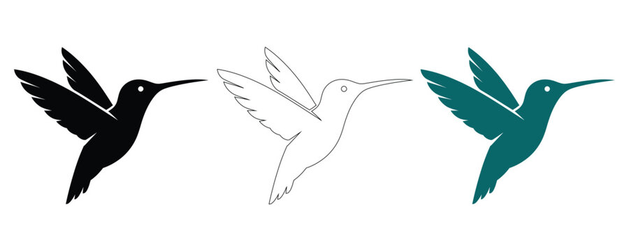 Hummingbird trio silhouette outline and teal colored vector illustrations for design projects