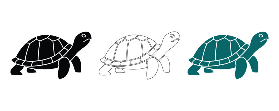 Turtle trio black outline and teal illustrations for design projects