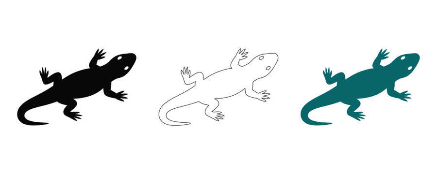 Lizard silhouettes and line art vector illustrations for design projects