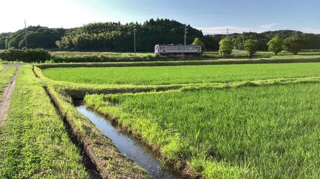 JR Kansai Line &ndash; Single Car Train Passing Through Countryside in 4K 60fps