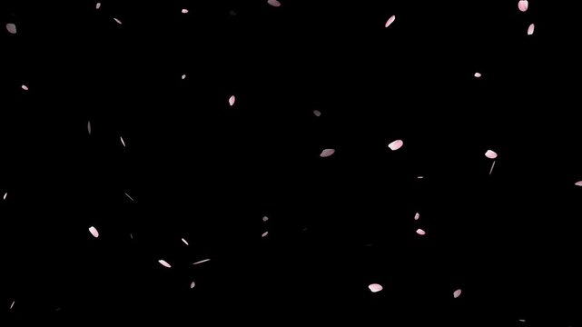 Pink cherry blossom petals falling gracefully on transparent background.Spring Easter Overlay. Animated sakura petals.Spring animation (4K).