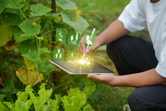 Smart Agriculture and Technology Integration with Tablet in Vegetable Farm