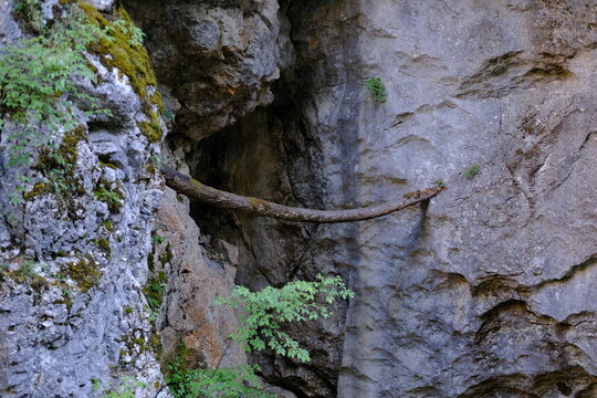 Dark cave opening with wooden log and mossy rocks in mountain gorge