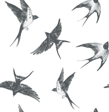 Swallows flying, hand-drawn sketch, transparent background, seamless pattern