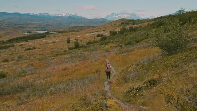 Trekker on a hiking path admiring the colorful summer landscape with hills and mountains in the distance, Torres del Paine, Patagonia, Chile