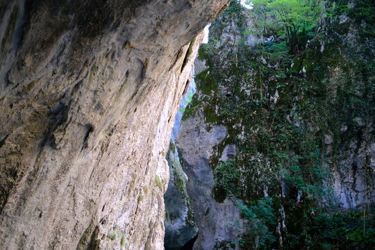 Narrow rocky canyon with mossy cliffs and dark cave entrance in nature