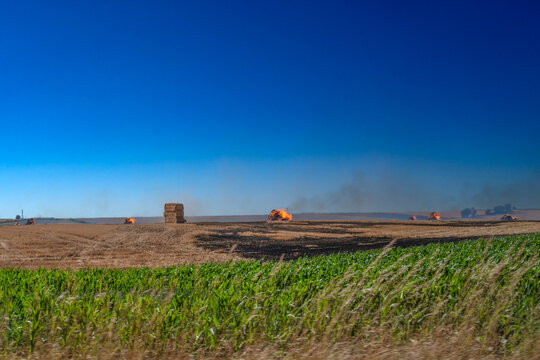 Widespread field fires burning across farmland, agricultural pollution crisis