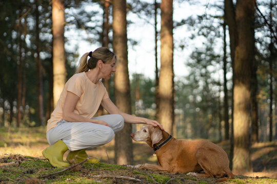 Pet care, companionship and leisure outdoors, responsible woman pet owner spending time with dog in forest, activity on fresh air for pet physical health and vitality, positive emotions and bonding.