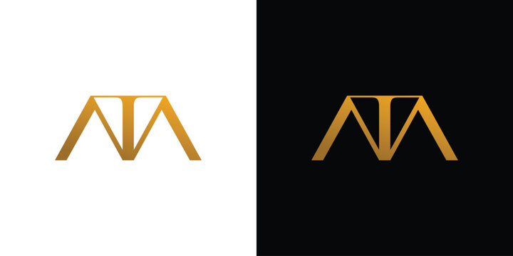 Luxury and modern letter TM initials logo design