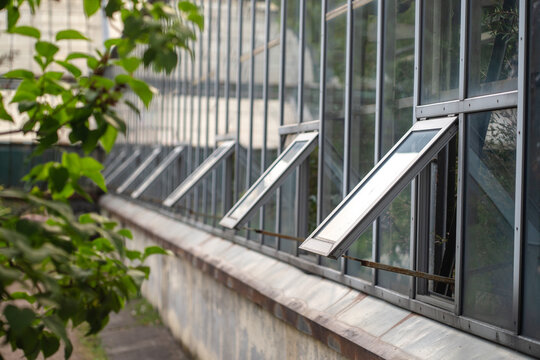 Glass wall of greenhouse with opened windows for better airflow and ventilation in hot weather, orangery garden airing facility, letting in fresh air and cool down high temperature in summer season.