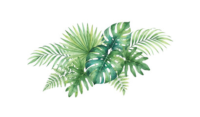 Watercolor tropical leaves vector with monstera palm and exotic botanical foliage isolated on white © MDImamul