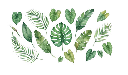 Exotic tropical foliage watercolor vector with monstera palm leaves botanical arrangement © MDImamul