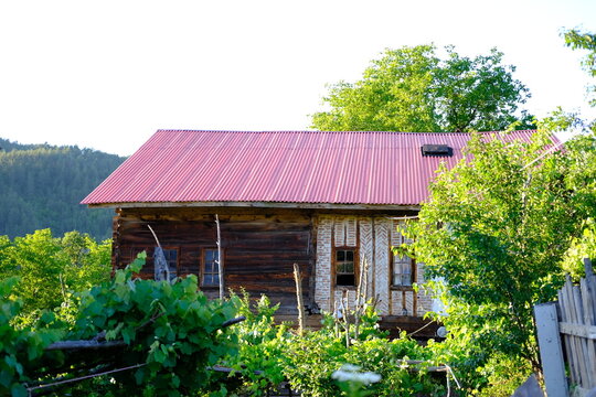 Rustic countryside house surrounded by lush green trees and forest in mountain landscape