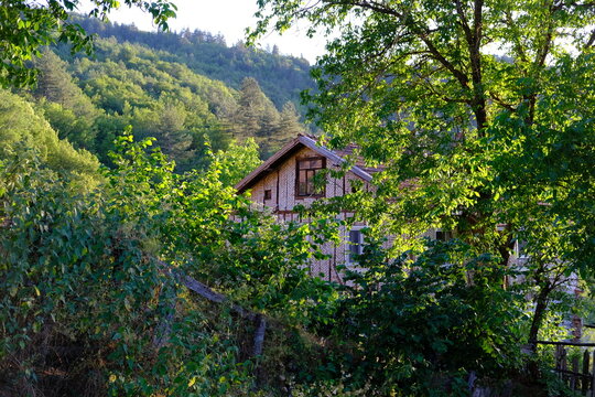 Rustic countryside house surrounded by lush green trees and forest in mountain landscape