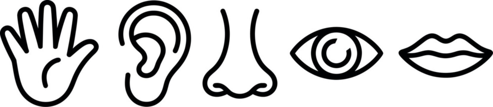 Human senses icons. Line pictogram collection for touch, hearing, smell, vision, taste, sensory perception, anatomy, healthcare, education, user interface, web and mobile application design.
