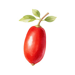 Goji Berry Illustration: A vibrant watercolor illustration of a single, ripe goji berry with its stem and leaves, perfect for depicting health, nutrition, and organic products. © bao