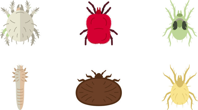 Parasitic mites and agricultural pests vector illustration set featuring house dust mite red velvet mite spider mite demodex skin parasite and tick icons