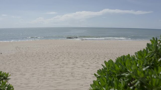 Low Aerial Reveal of Lush Greenery and White Sandy Beach, Sri Lanka