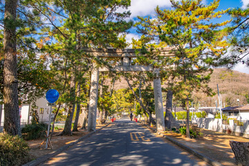 Naklejka premium 岡山県岡山市 青空と松の緑に映える吉備津神社、二の鳥居