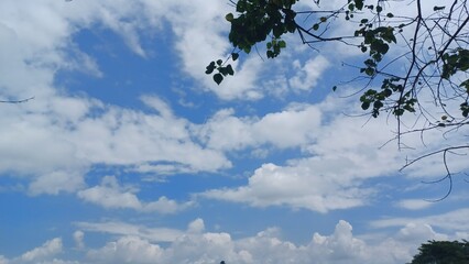 Fototapeta premium sky and clouds