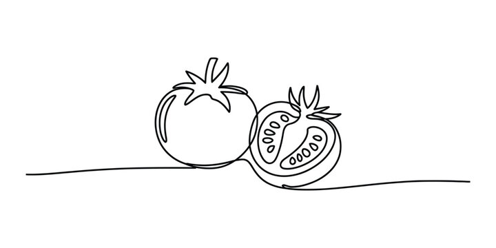Continuous single line drawing of fresh whole and sliced tomato