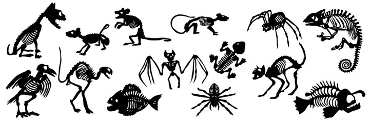 Animal Skeleton Collection Set. Vector Fossil Bones Silhouettes Isolated on White Background © MJD_Studio