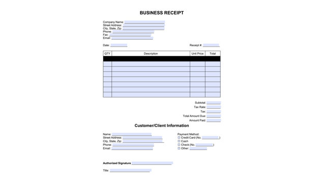 Business Receipt fillable form, color vector illustration