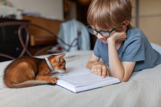 Young boy wearing glasses lying on bed and reading book together with his curious Abyssinian kitten. Cozy childhood companionship and joy of learning.