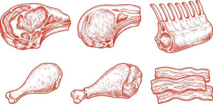 Vintage Engraved Butcher Meat Cuts Collection Hand Drawn Vector Illustration Set