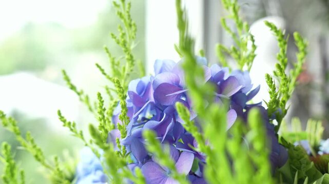 incredible cute romantic bouquet of flowers in green and blue tones. large bouquet of flowers, summer atmosphere. Green, blue, purple. Hydrangea ,Molucella Irish bells, Solidago , Echinacea