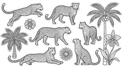Set of hand drawn outline leopards with tropical plants in black and white. © Amina