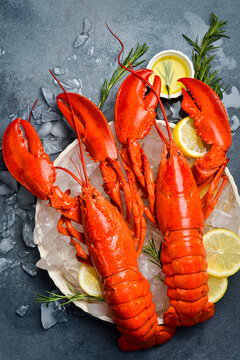 Seafood. Two whole boiled red lobsters on a plate with ice, top view.