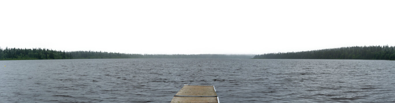 Panoramic view of a summer lake in a park evergreen forest with a transparent sky.

