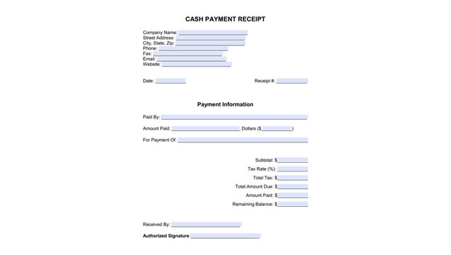 CASH PAYMENT RECEIPT fillable form, color vector illustration