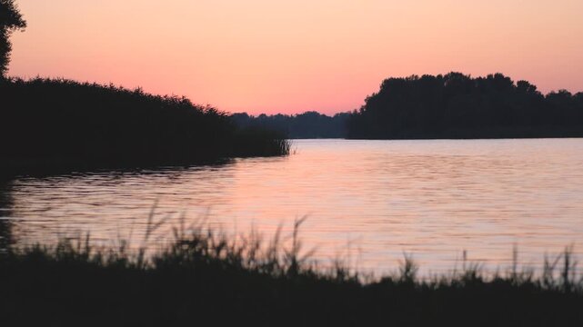 Beautiful pink sunset over calm river or lake with reed silhouettes in foreground