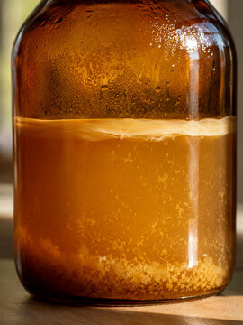 Active Kefir Serum Fermentation in Amber Glass Vessel with Natural Yeast Sediment.