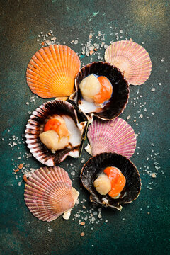 Raw fresh scallops in the shell. Close-up on a dark stone background. Vertical photo. Top view.