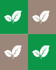 Fresh green mint leaf isolated on white background. Vibrant herbal foliage for food, health, and natural product design. © Upoma