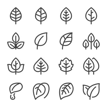leaf and plant thin line icon set,vector and illustration